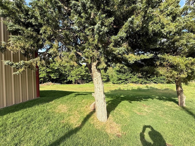 602 S Young St, Follett, TX 79034 - view of grassy yard