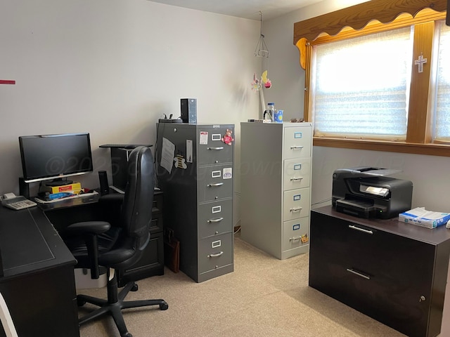 office space with light colored carpet