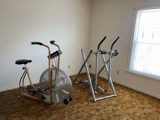 exercise area with baseboards and carpet