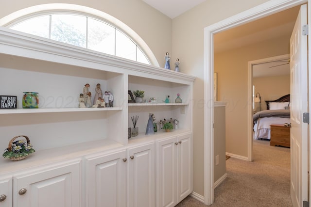 2314 Atkinsen St, Amarillo, TX 79106 - hallway featuring light colored carpet and plenty of natural light