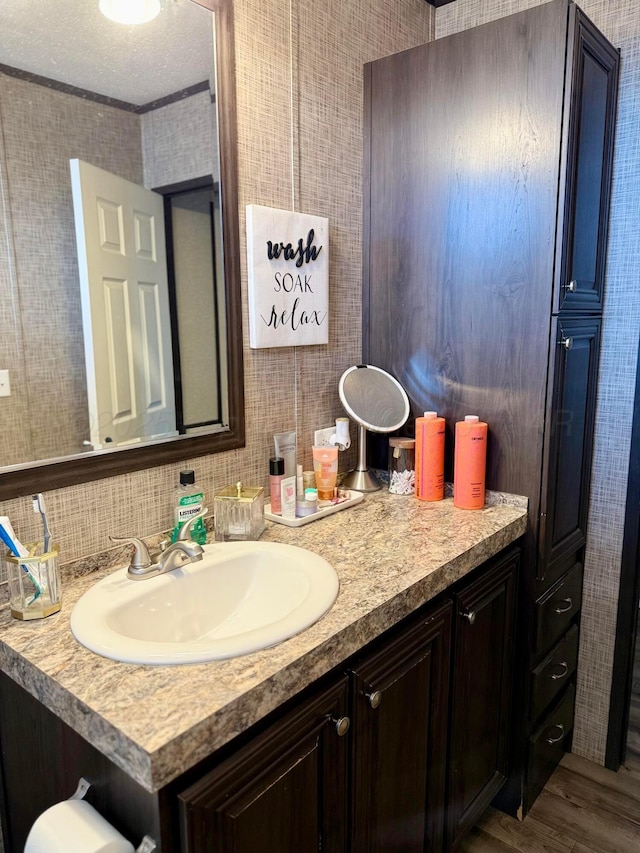 420 N 18th St, Memphis, TX 79245 - bathroom featuring vanity and wood finished floors