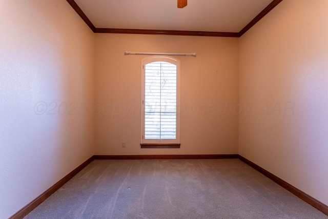 4503 Tutbury Ct, Amarillo, TX 79119 - photo 29