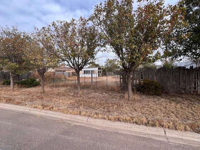 918 SW 22nd Ave, Perryton TX, 79070 land for sale