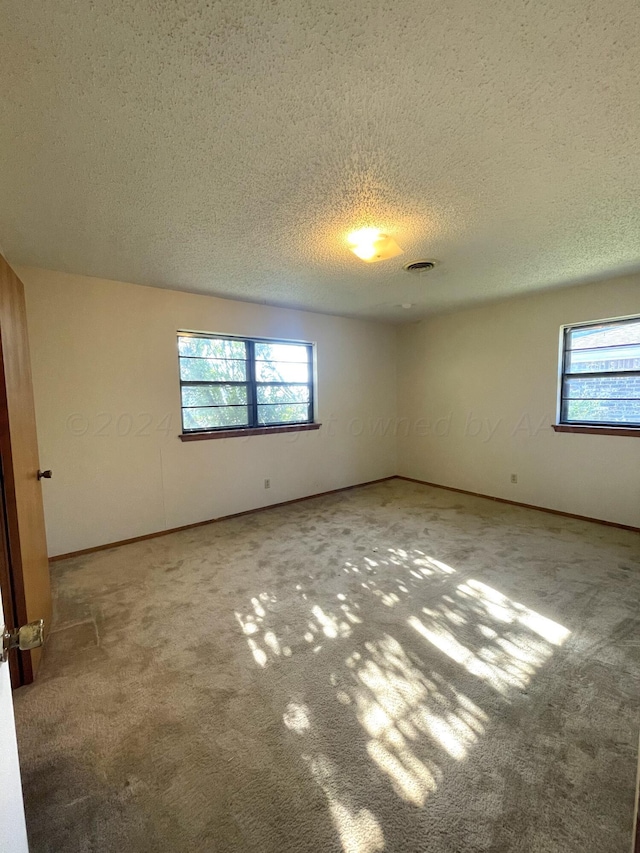 carpeted spare room featuring a healthy amount of sunlight and a textured ceiling