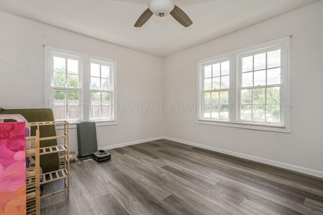 1033 Bowie St, Amarillo, TX 79102 - office featuring plenty of natural light, wood finished floors, a ceiling fan, and baseboards