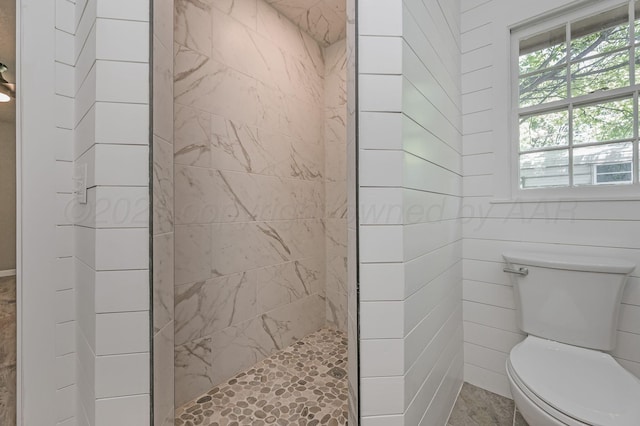 6011 Palmetto Trl, Amarillo, TX 79106 - bathroom featuring a walk in shower and toilet