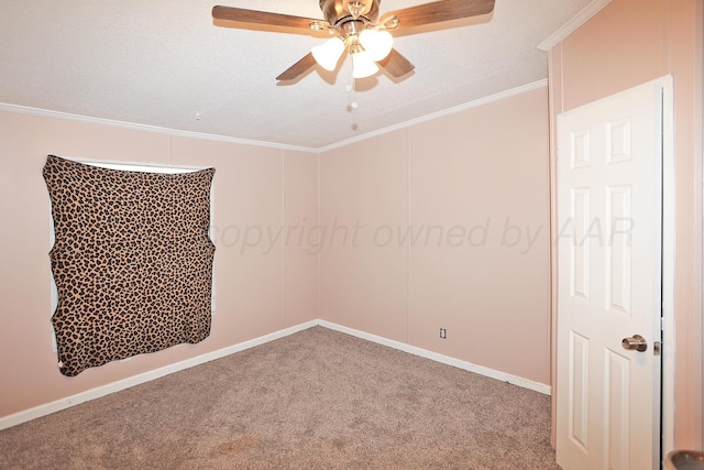 7750 Cliffside Rd, Amarillo, TX 79124 - photo 19