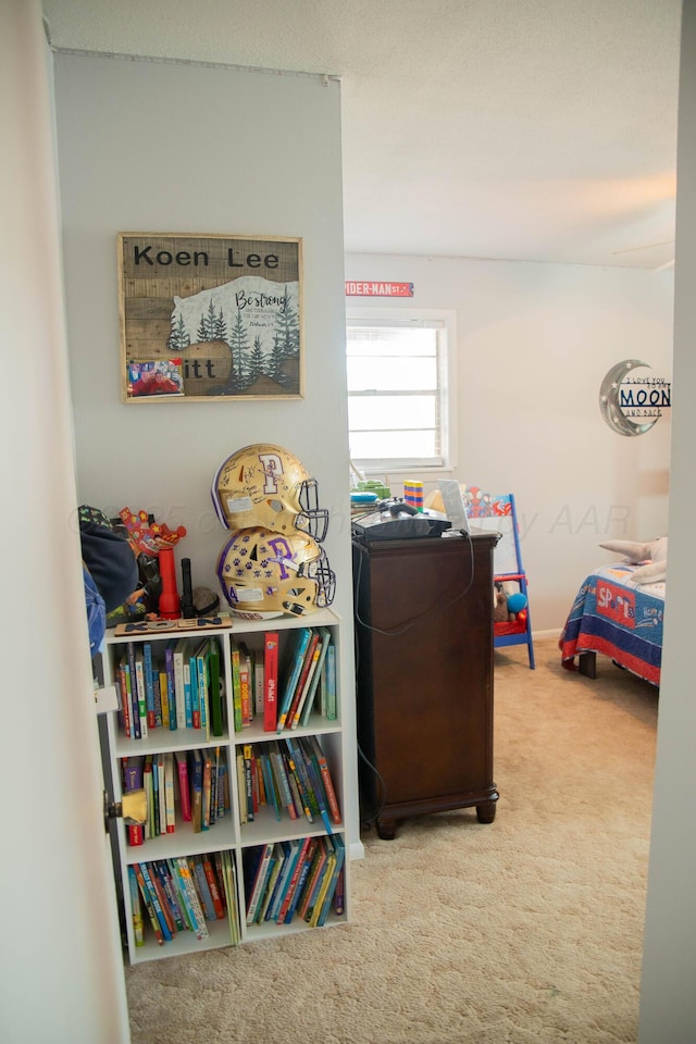 interior space featuring carpet floors