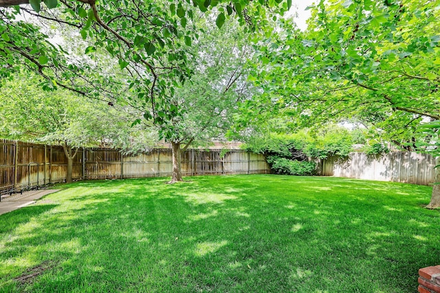 2604 Hawthorne Dr, Amarillo, TX 79109 - view of yard