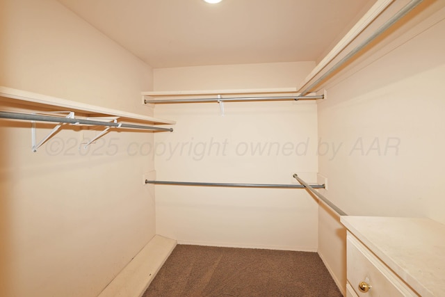 2604 Hawthorne Dr, Amarillo, TX 79109 - walk in closet with dark colored carpet