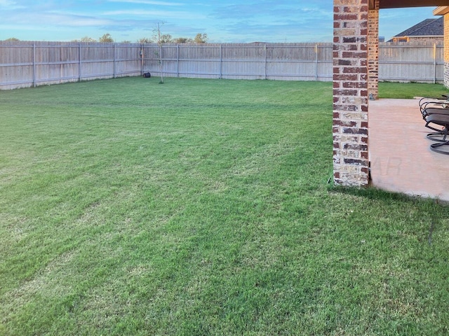 view of yard featuring a patio