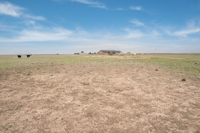 view of yard with a rural view