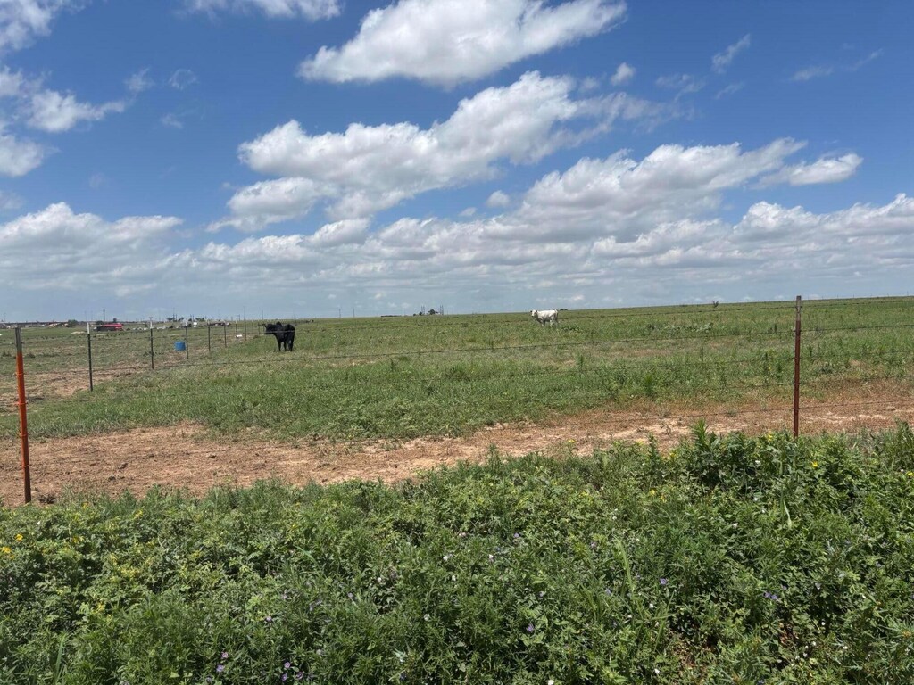 OS Parsley Rd, Amarillo, TX 79118 - photo 1