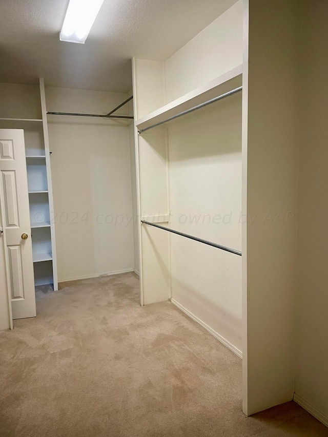 walk in closet with light carpet