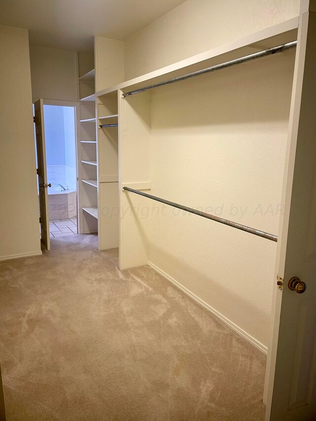 walk in closet featuring light colored carpet