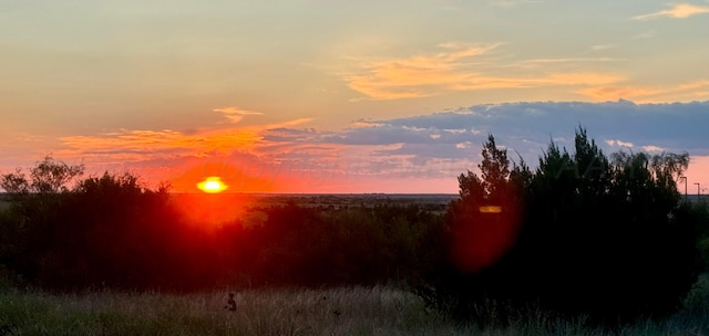 view of nature at dusk