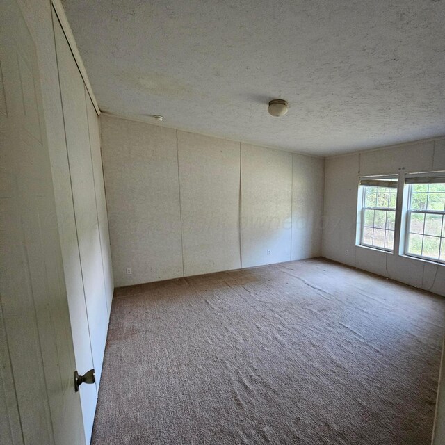 spare room with carpet flooring and a textured ceiling