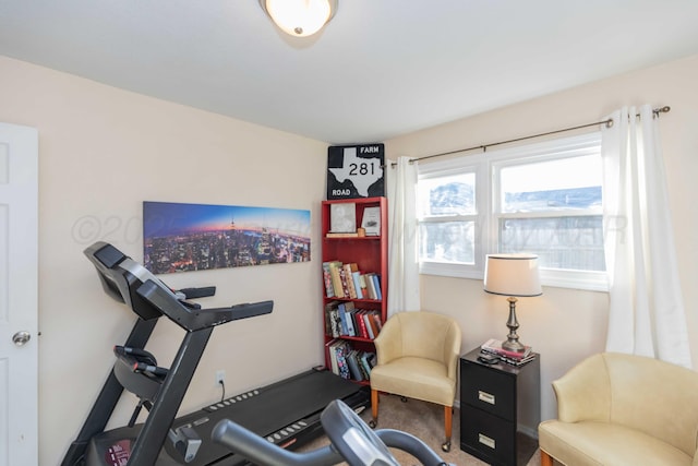 workout area featuring carpet floors