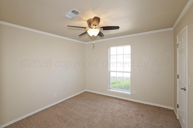 6829 Glenoak Ln, Amarillo, TX 79109 - photo 24