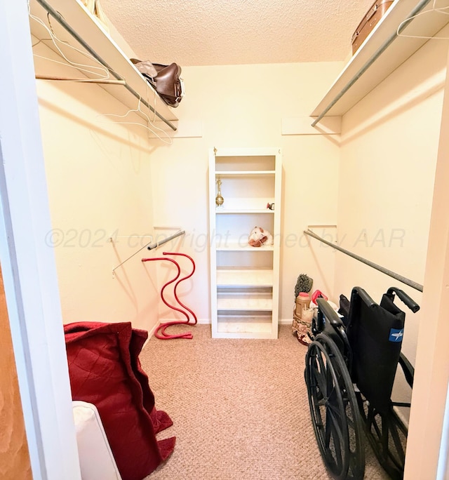 spacious closet with carpet