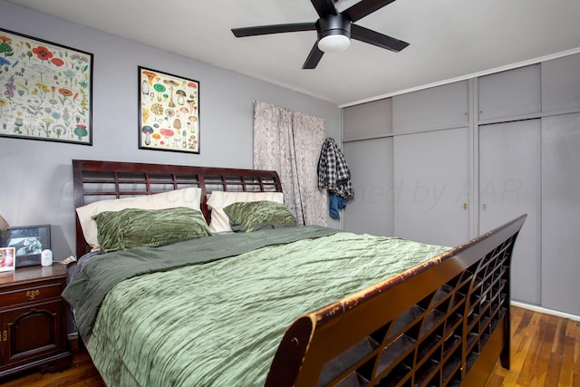 bedroom featuring dark hardwood / wood-style floors, ceiling fan, and a closet