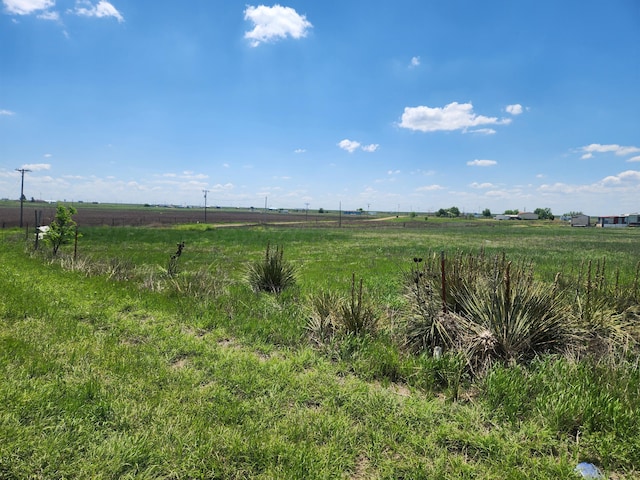 County Rd 307, Panhandle, TX 79068 - photo 3
