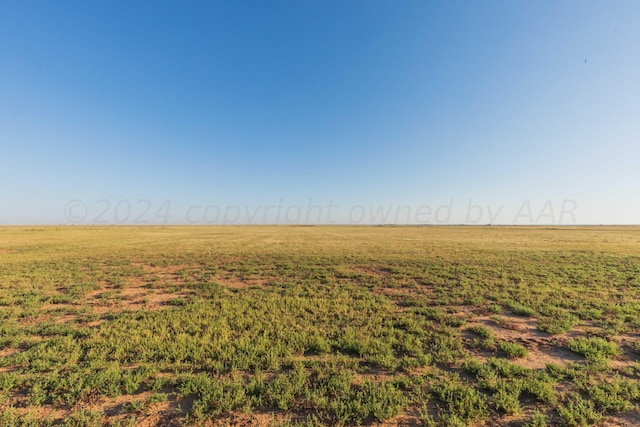 view of local wilderness featuring a rural view