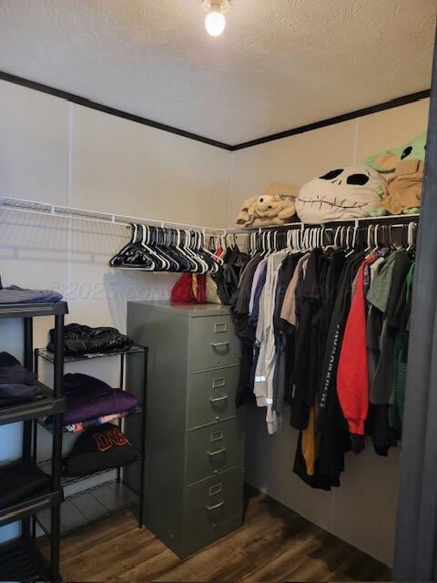 walk in closet with dark hardwood / wood-style floors