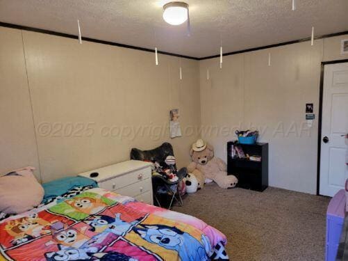 bedroom with a textured ceiling