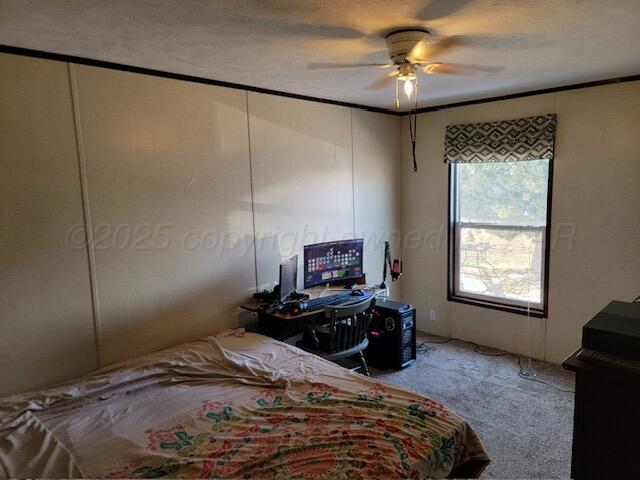 bedroom featuring ceiling fan and carpet