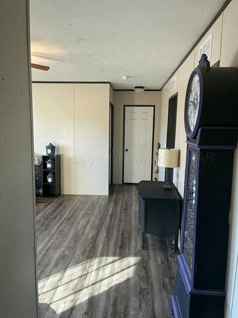 kitchen featuring dark hardwood / wood-style floors and white cabinets