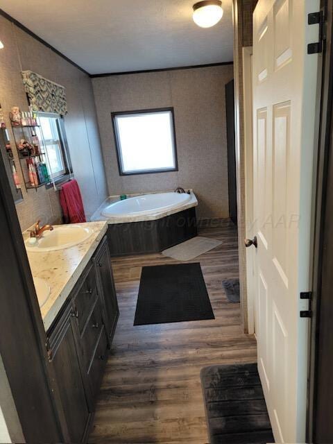 bathroom with a washtub, hardwood / wood-style floors, and vanity