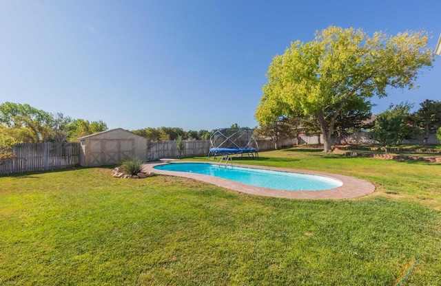 view of swimming pool with a trampoline, a storage unit, and an outdoor structure