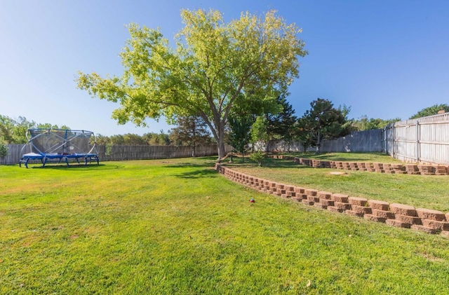 view of yard featuring a trampoline