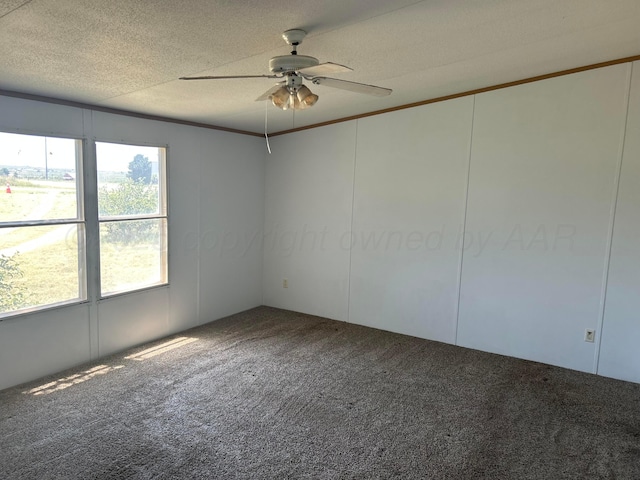 8301 Adair Dr, Amarillo, TX 79108 - photo 7