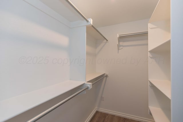 walk in closet featuring dark wood finished floors