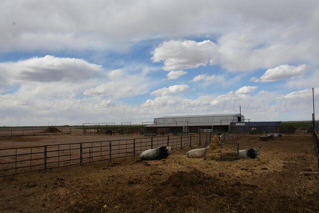 view of yard featuring a rural view