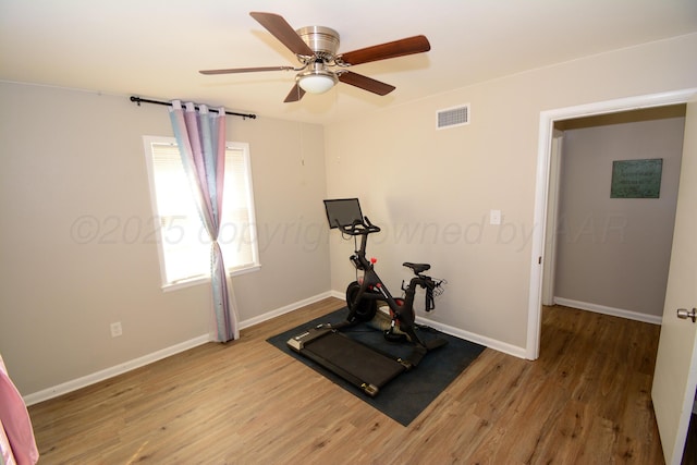 workout room featuring hardwood / wood-style floors and ceiling fan