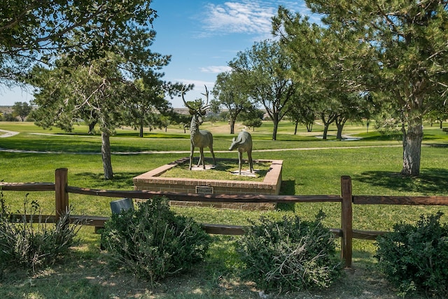 103 S Shore Dr, Amarillo, TX 79118 - photo 55