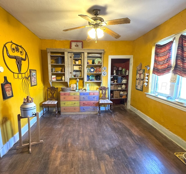 interior space featuring ceiling fan and dark hardwood / wood-style flooring