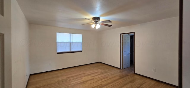 empty room with ceiling fan and light hardwood / wood-style flooring