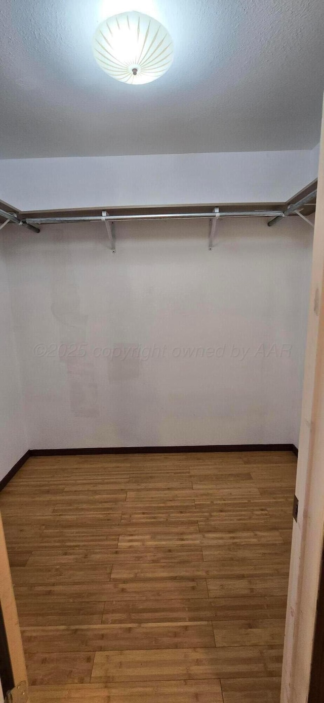 spacious closet featuring wood-type flooring