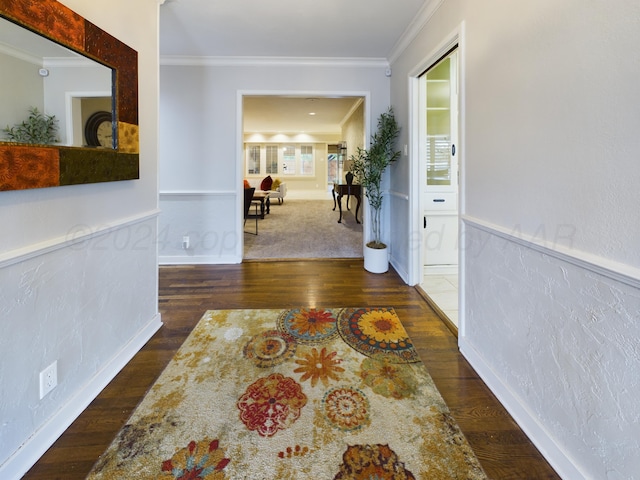 hallway featuring wainscoting, ornamental molding, and wood finished floors