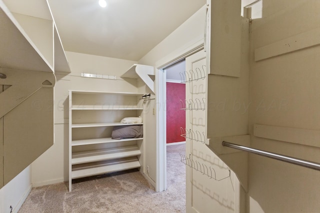 walk in closet with carpet flooring