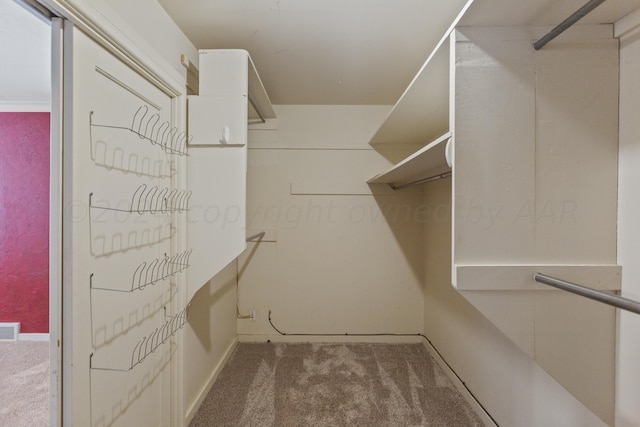 walk in closet with carpet