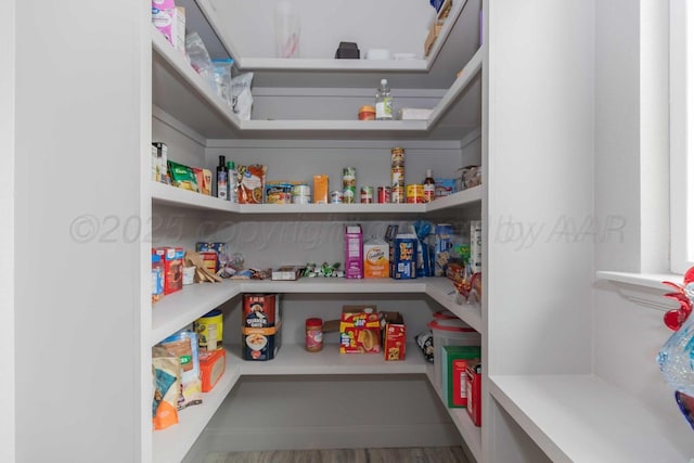 view of pantry