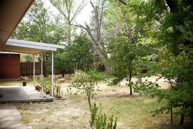 view of yard featuring a patio area