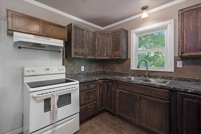 4317 Cline Rd, Amarillo, TX 79110 - kitchen featuring white electric range oven, under cabinet range hood, a sink, dark countertops, and ornamental molding