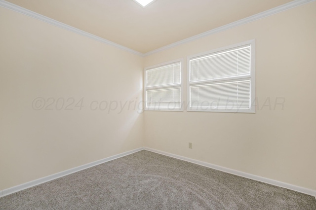 carpeted empty room featuring crown molding