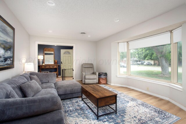 6010 Calumet Rd, Amarillo, TX 79106 - living room featuring wood finished floors, a textured ceiling, and recessed lighting